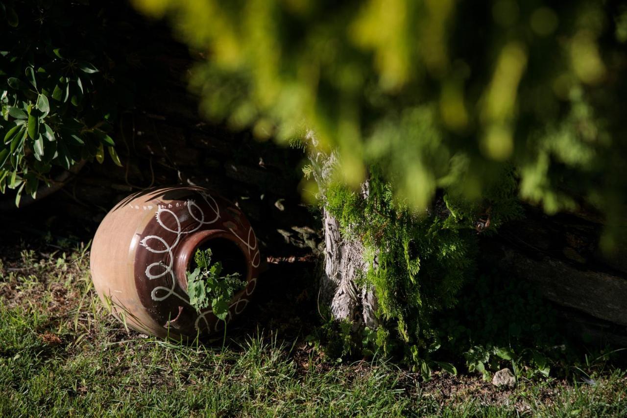 Galini  "Palatiana Agriturismo-Philoxenia Cottages", Private Nature Retreats מראה חיצוני תמונה